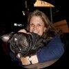 diveswithpugs